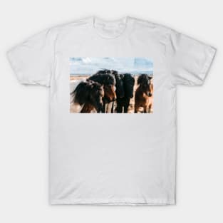 Horses in Iceland - Wildlife animals T-Shirt
